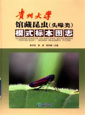 贵州大学馆藏昆虫（头喙类）模式标本图志