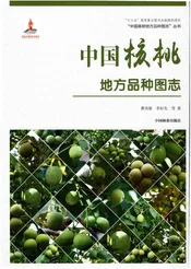 中国核桃地方品种图志