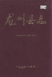 龙州县志