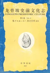 龙骨坡史前文化志