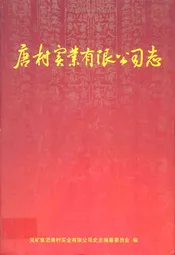 唐村实业有限公司志