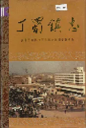 丁蜀镇志