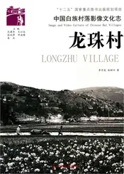中国白族村落影像文化志：龙珠村