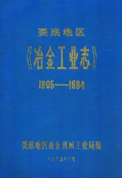 娄底地区《冶金工业志》(1805-1984)