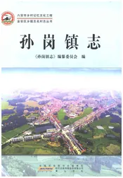 孙岗镇志（六安市）