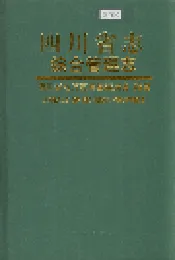四川省志 综合管理志（中册）