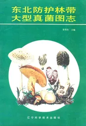 东北防护林带大型真菌图志