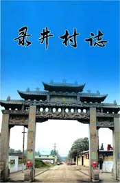 录井村志