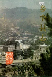 乡宁县志