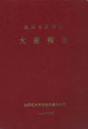 沈阳市沈河区大南街志