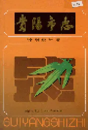 贵阳市志 计划统计志