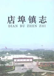 店埠镇志