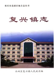 复兴镇志
