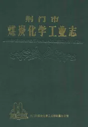 荆门市煤炭化学工业志