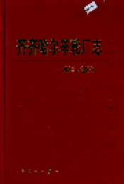 齐齐哈尔车轮厂志27