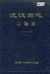 武汉市志 文物志