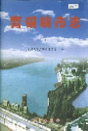 青铜峡市志 上