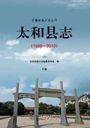 太和县志（1986-2010）下册