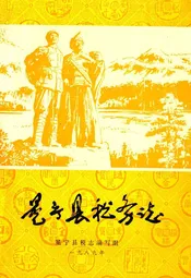 冕宁县税务志