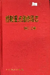 桥隧重点维修段志