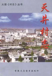 天井村志