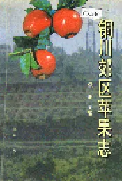 铜川郊区苹果志