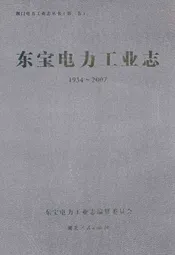 东宝电力工业志(1934~2007)