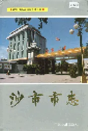 沙市市志(第四卷)