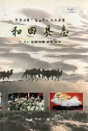 和田县志