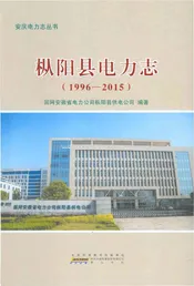 枞阳县电力志（1996—2015）