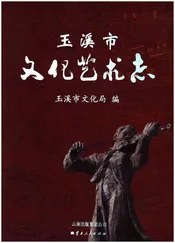 玉溪市文化艺术志(1978-2005)