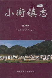 小街镇志