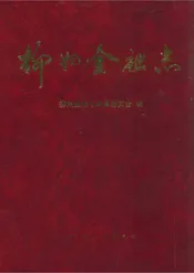 柳州金融志