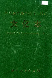 黔东南苗族侗族自治州志 文化志