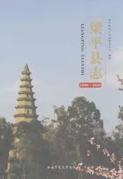 梁平县志(1986~2005)