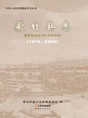 蒙自县志（1978-2009）