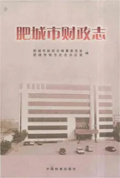 肥城市财政志