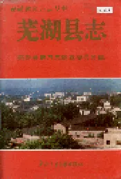 芜湖县志