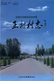 石家庄市鹿泉区李村镇王村村志