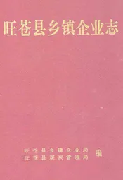 旺苍县乡镇企业志1978-2000