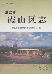 湛江市霞山区志