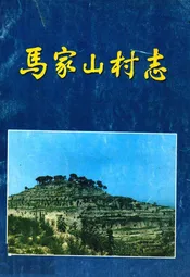 马家山村志