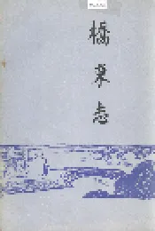 桥东志