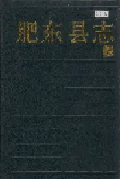 肥东县志