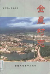 金星村志
