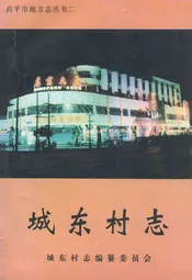 城东村志