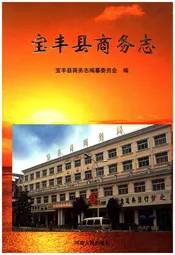 宝丰县商务志