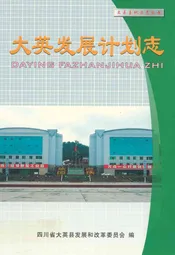 大英发展计划志