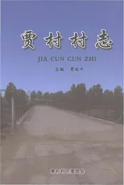 贾村村志