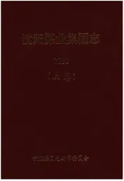 沈阳煤业集团志2010(上卷)